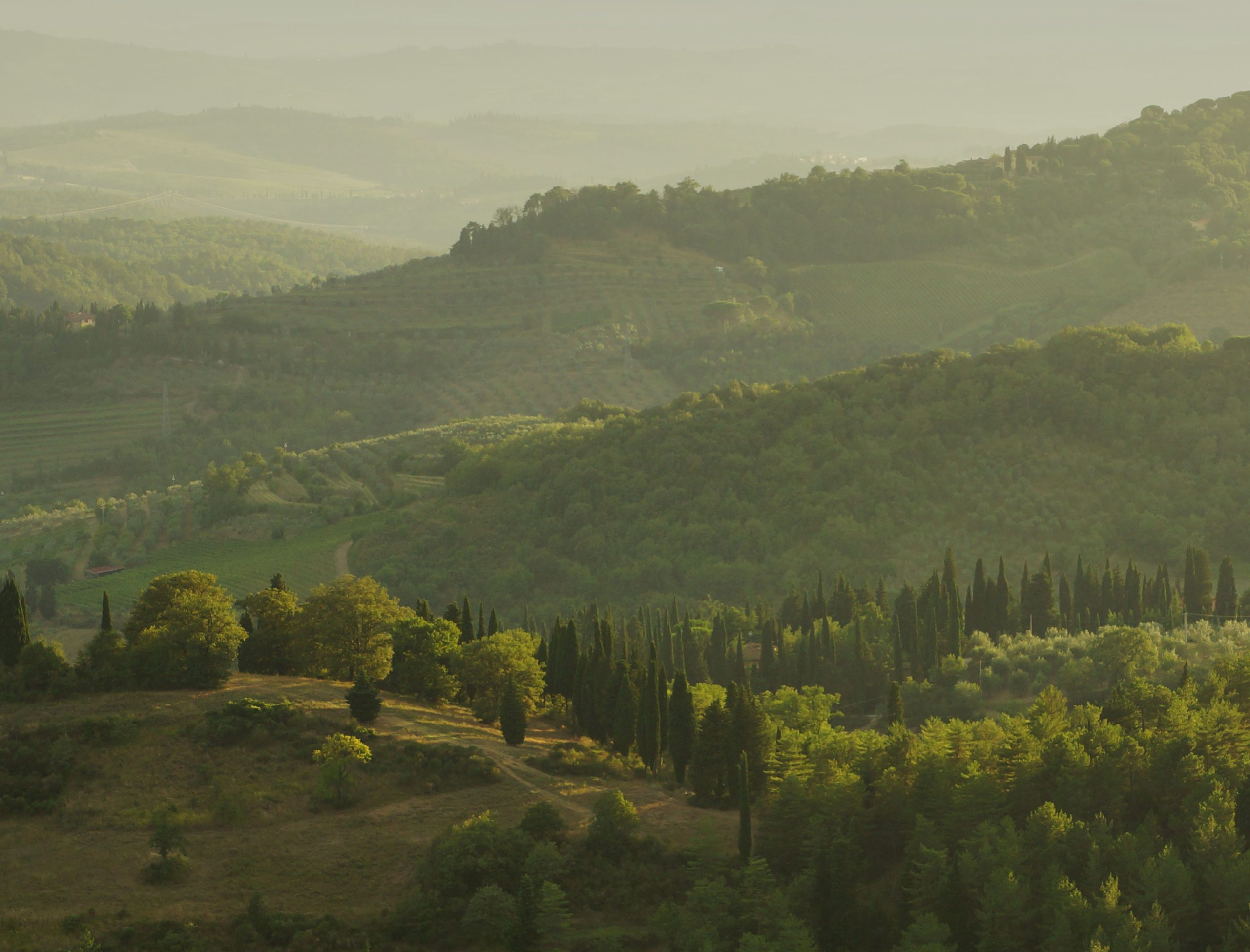 Maremma Nationalpark (Toskana, Parco dell' Uccellina) Toskana24.de